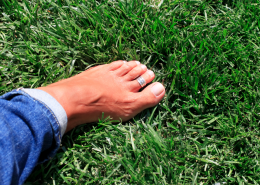 A Woman's Barefoot On Grass - 10 Simple Ways To Feel Calm And Grounded - Sandra Harewood Counselling