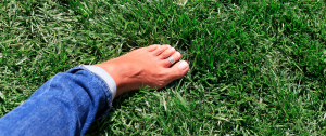 A Woman's Barefoot On Grass - 10 Simple Ways To Feel Calm And Grounded - Sandra Harewood Counselling