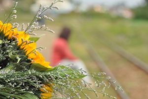 Women-sittng-on-grass-next-to-railway-tracks-Sandra-Harewood.jpg