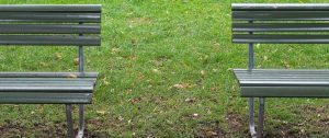 Two empty park benches in a quiet park, representing absence, reflection, and the emotional space after a marriage ends