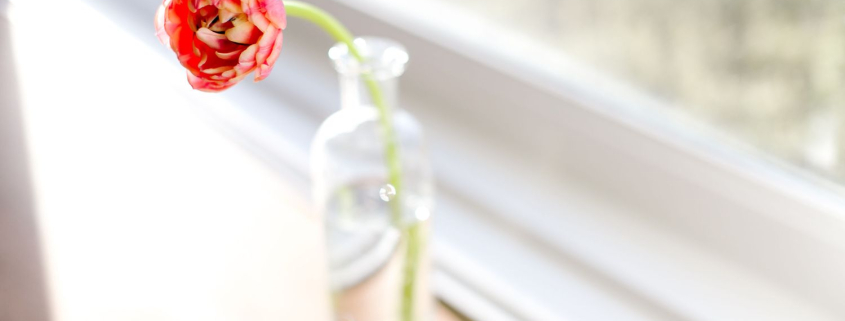 Single peony flower in a glass vase — symbolising growth, renewal, and healing within marriage.