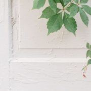 White door partially covered by a branch, symbolising pause and reflection in discernment counselling