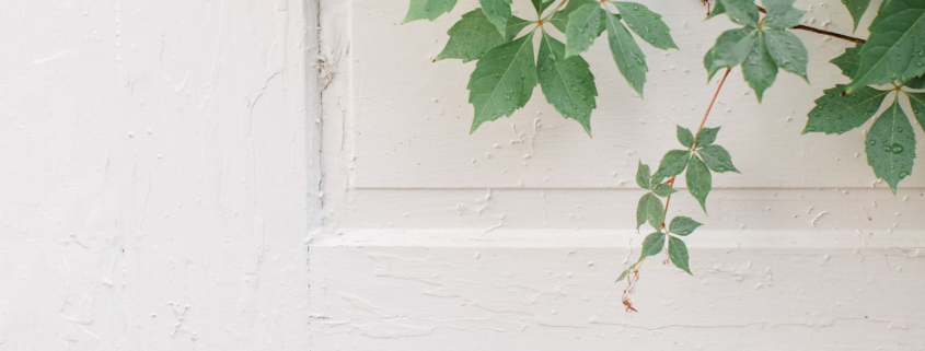 White door partially covered by a branch, symbolising pause and reflection in discernment counselling