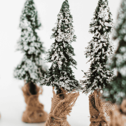 Snow-covered pine trees standing quietly in winter light, symbolising a relationship crossroads and emotional uncertainty