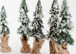 Snow-covered pine trees standing quietly in winter light, symbolising a relationship crossroads and emotional uncertainty