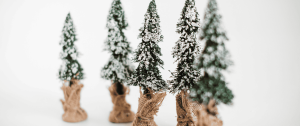 Snow-covered pine trees standing quietly in winter light, symbolising a relationship crossroads and emotional uncertainty