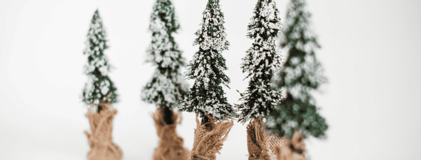 Snow-covered pine trees standing quietly in winter light, symbolising a relationship crossroads and emotional uncertainty