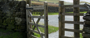An open gate leading to a quiet country path, representing personal responsibility, reflection, and the journey through relationship crossroads.