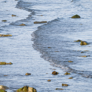 Tranquil Rocky Shoreline at Low Tide ranquil rocky shoreline at low tide.